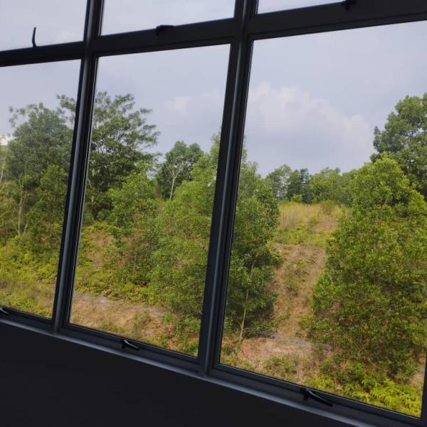 View